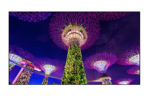  Фото видеостена 2x2 eliteboard 55" sk555fcln - фото 3